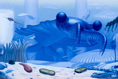 寒武纪大爆发 寒武纪大爆发