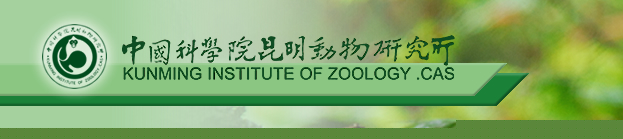 打喷嚏的塌鼻猴(图片来源：Ngwe Lwin)