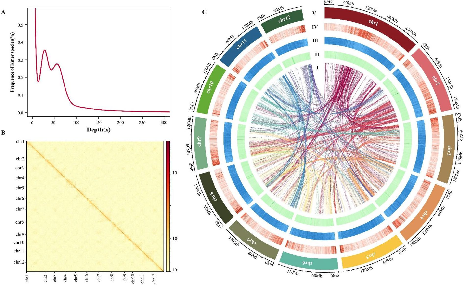 高原种质库解析“藏茵陈”核心基源植物祁连獐牙菜基因组